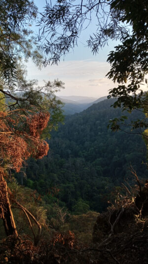 Environmental and AI Compliance